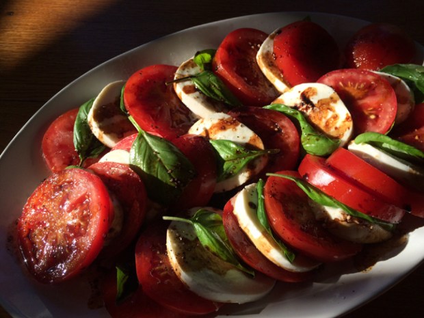 caprese salad