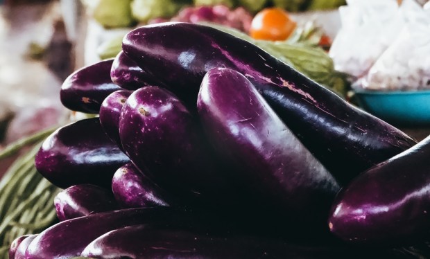 deviyahya-WiTkMXDCal4-unspl