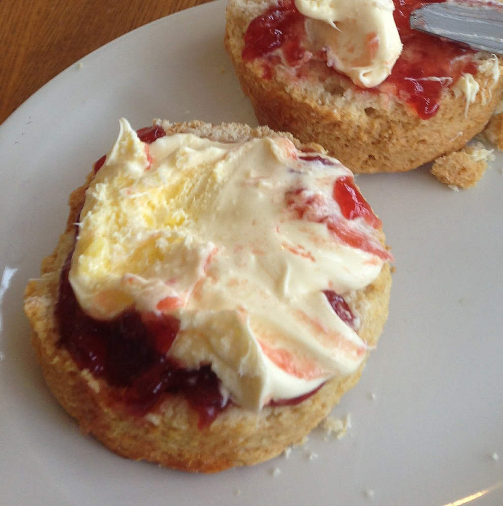 Sarah Tevendale on Pixabay