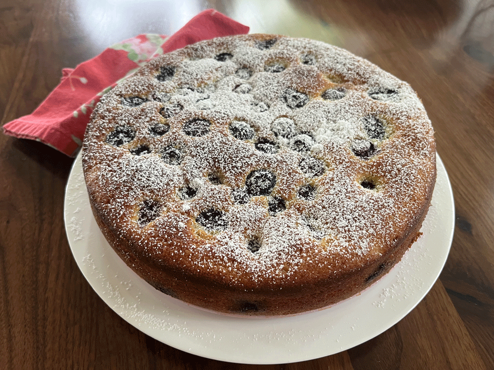 A one layer cake, with powdered sugar dusted on top, sitting on a white plat, with a pink flowered napkin beside it on a wood counter.